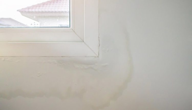 رنگ‌آمیزی دیوار نم دار