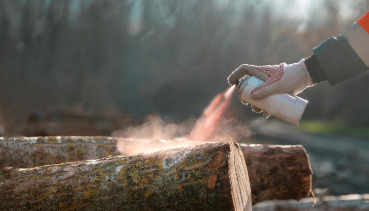 رنگ کردن چوب با اسپری رنگ