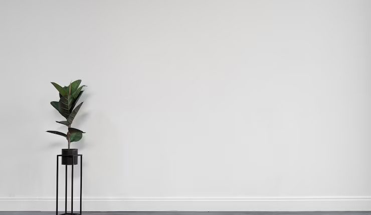 رنگ دیوار مدرن