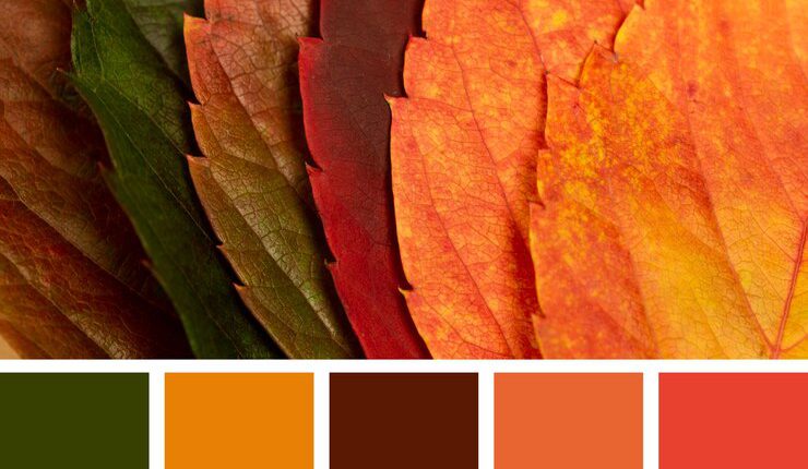 بهترین رنگ پاییزی سال ۱۴۰۲