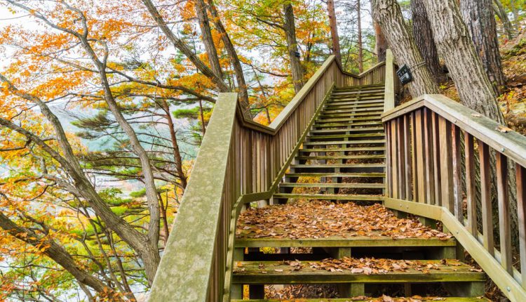 بهترین رنگ برای راه پله