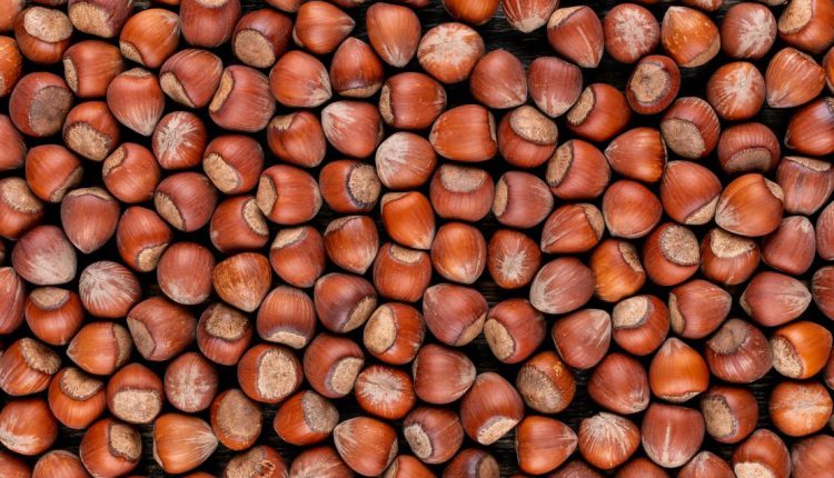 تصویری از فندق