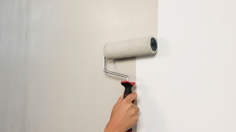 نحوه استفاده و مراقبت از رنگ ضد باکتری و قارچ