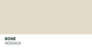 راهنمای کامل بهترین رنگ استخوانی دیوار + جدول ترکیب رنگ