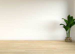 نحوه نگهداری از رنگ سفید دیوار