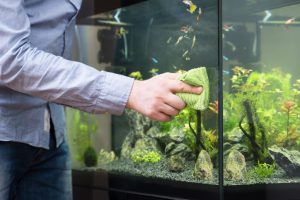 10 نکته طلایی برای استفاده از چسب آکواریوم