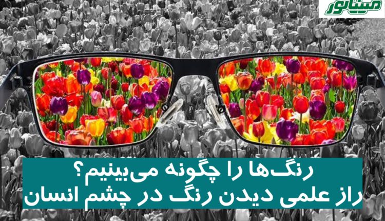 رنگ ‌ها را چگونه می‌بینیم؟ (راز علمی دیدن رنگ در چشم انسان)