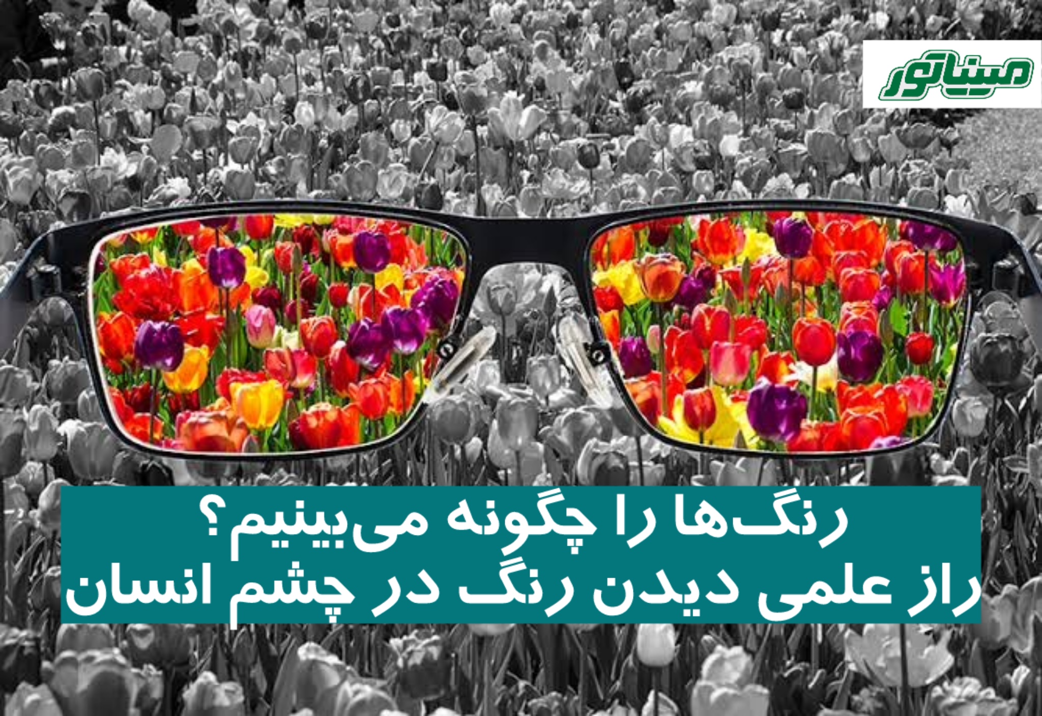 رنگ ‌ها را چگونه می‌بینیم؟