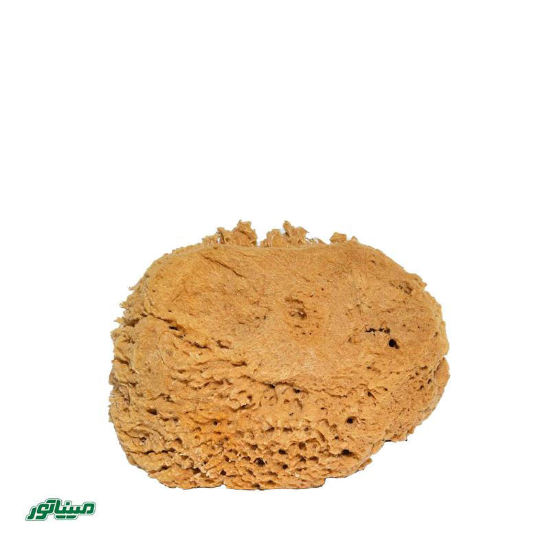 جی اس بی اسفنج دریایی طبیعی